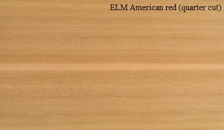 Elm American Quartered Wood Veneer